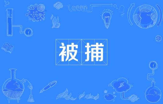 被捕（汉语词语）