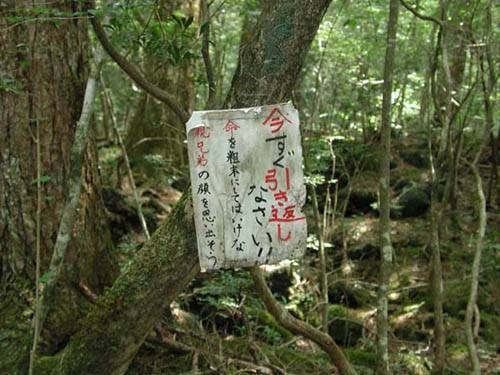 青木原树海（自然地理）
