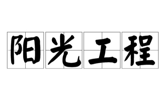 阳光工程(职业技能培训示范项目)