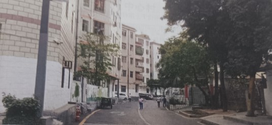 向西村（广东省深圳市龙华区观湖街道松元厦社区下辖村）