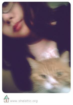 shel