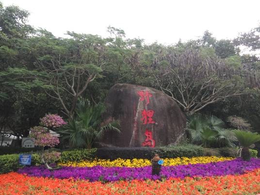 野狸岛