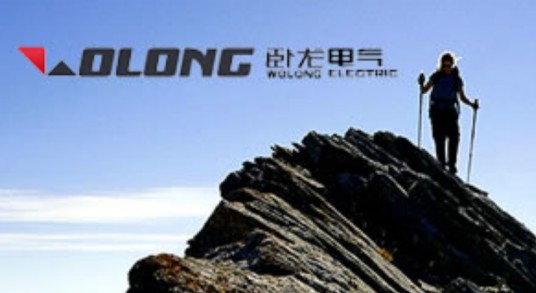卧龙电气集团股份有限公司