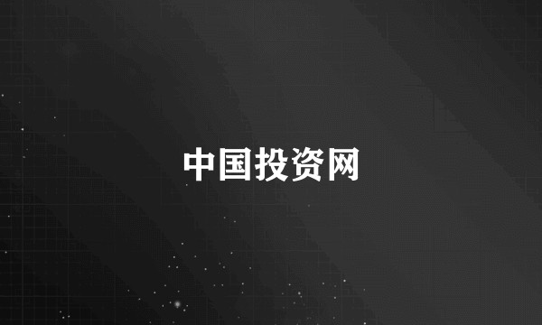 中国投资网