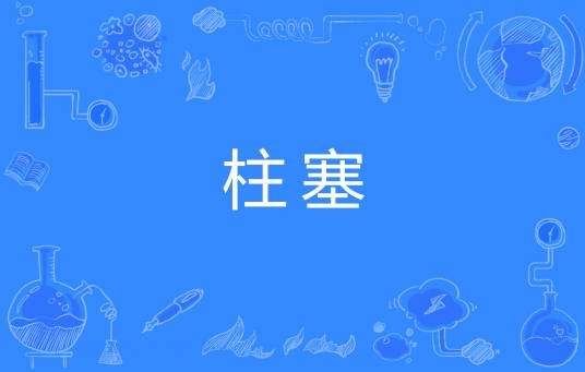 柱塞