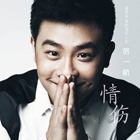 一个人的寂寞两个人的错（2012年贺一航演唱的歌曲）