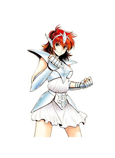 翔子（漫画《圣斗士星矢：圣斗少女翔》中的女主角）