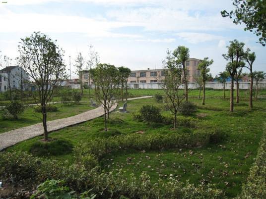 公共绿地