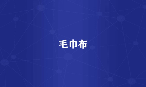 毛巾布