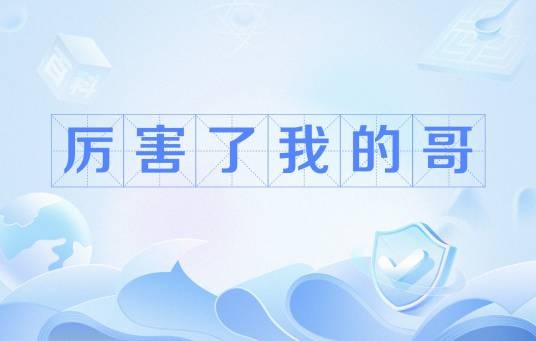 厉害了我的哥（网络用语）