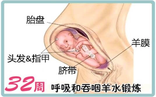 怀孕32周