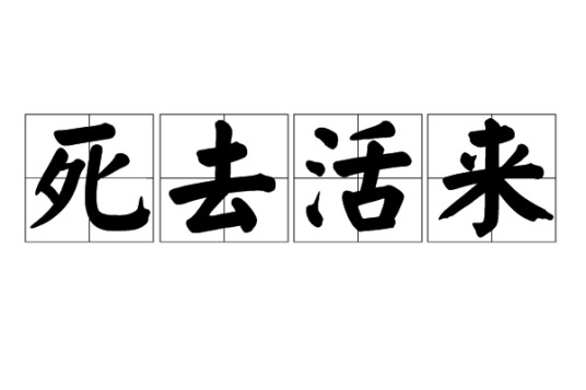 死去活来（汉语成语）