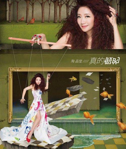 真的假的(陶晶莹演唱歌曲)