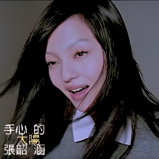 手心的太阳(2004年张韶涵演唱歌曲)