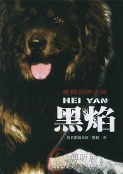 黑焰（2006年接力出版社出版的图书）