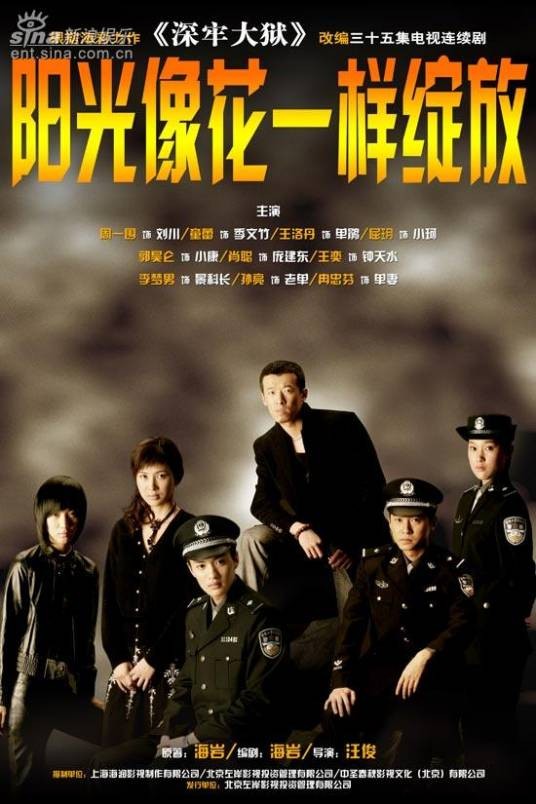 阳光像花一样绽放（2006年汪俊执导的电视剧）