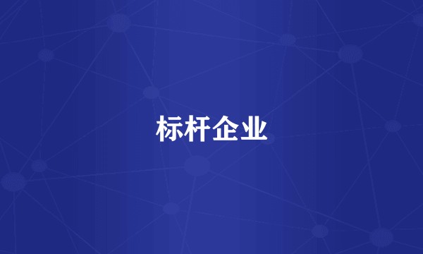 标杆企业