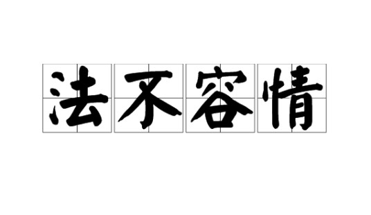 法不容情（汉语成语）