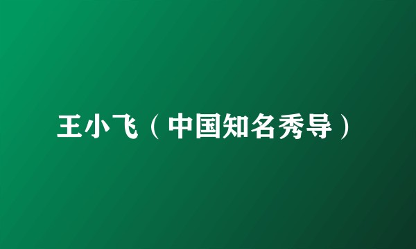 王小飞（中国知名秀导）
