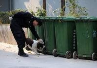 合肥碎尸案