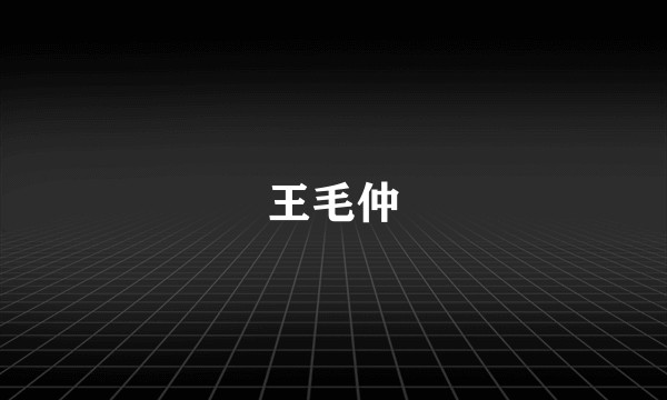 王毛仲
