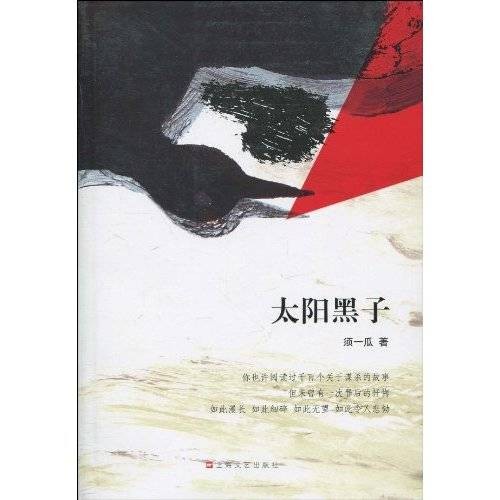 太阳黑子（2010年上海文艺出版社出版的图书）