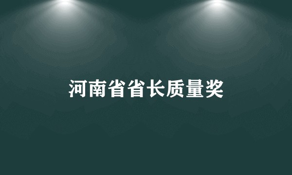 河南省省长质量奖