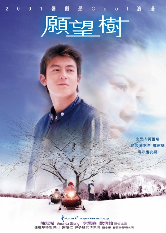 愿望树（2001年麦兆辉执导的爱情电影）