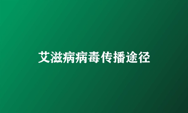 艾滋病病毒传播途径