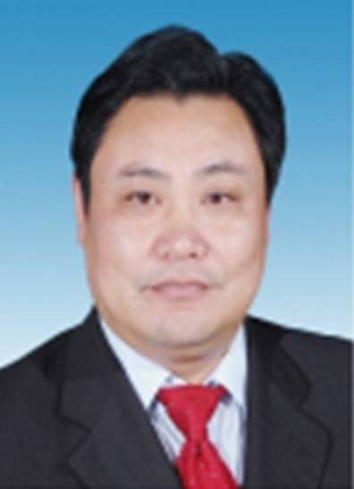 徐立峰（山东省临沂市费县县委书记）