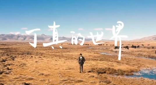 丁真的世界(2020年旅游宣传片)