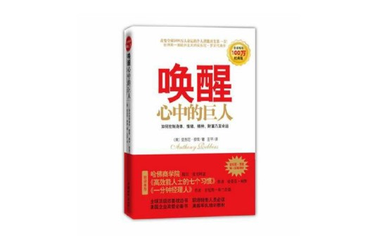 唤醒心中的巨人（2011年中国城市出版社出版的图书）