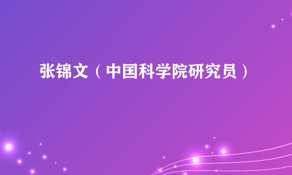 张锦文（中国科学院研究员）