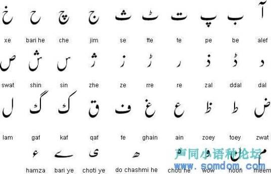 旁遮普语（语言种类）