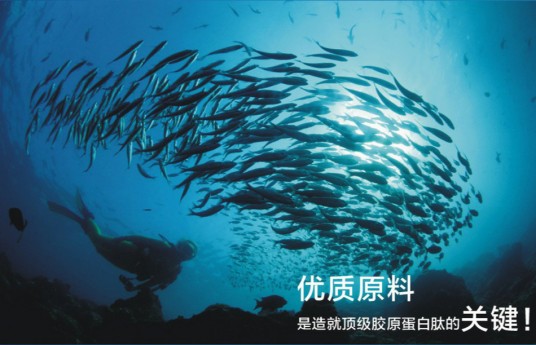 鱼胶原蛋白肽