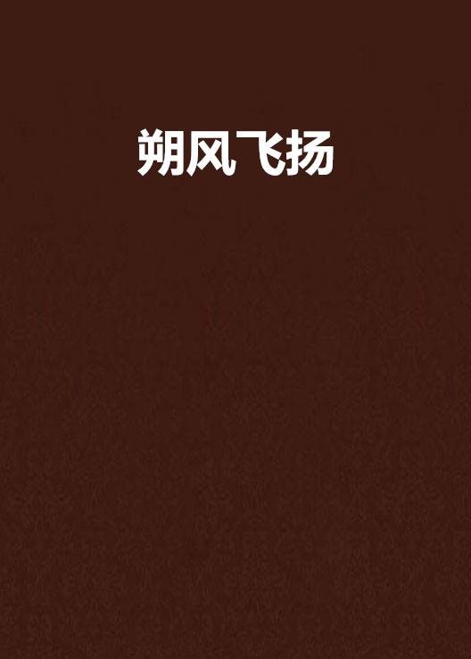 朔风飞扬（2007年成都时代出版社出版的图书）