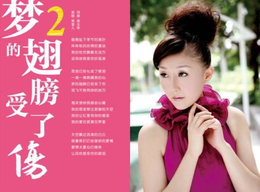 梦的翅膀受了伤(蒋雪儿演唱歌曲)