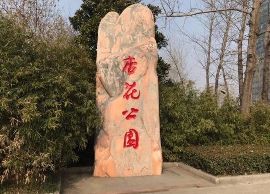 杏花公园