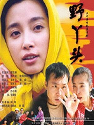 野丫头(张秉坚导演电视剧)