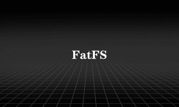 FatFS