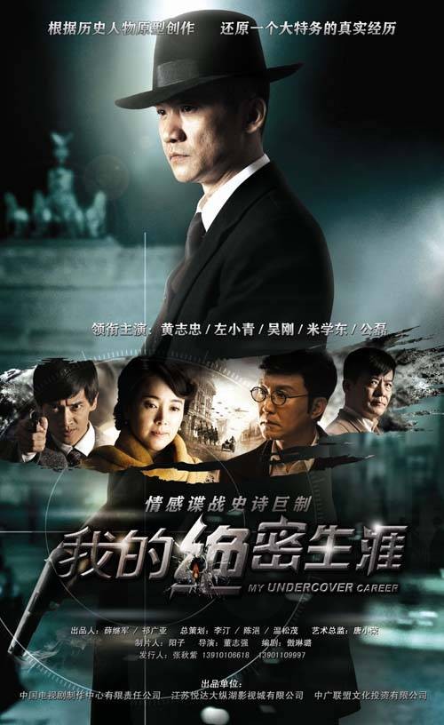 我的绝密生涯（2014年董志强执导的电视剧）