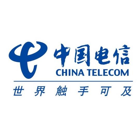 中国电信集团系统集成有限公司