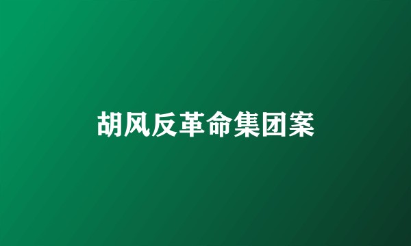 胡风反革命集团案
