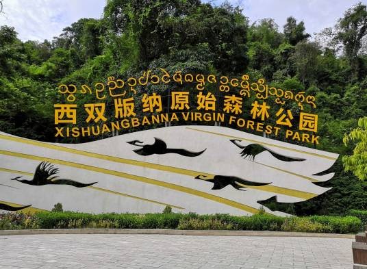 西双版纳原始森林公园