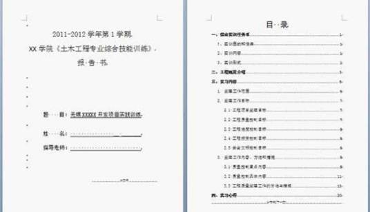 实训报告