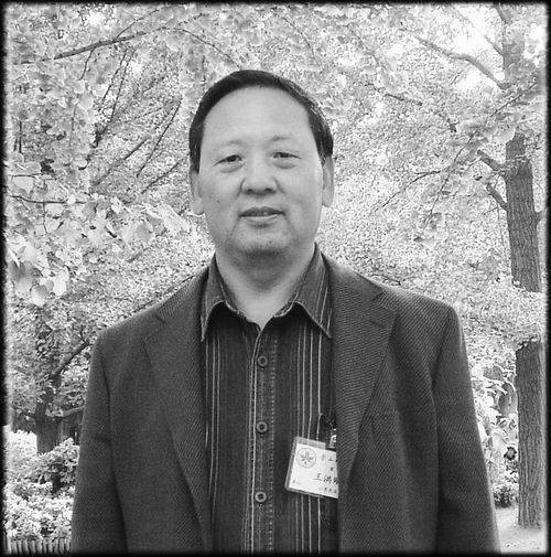王洪刚（山东农业大学农学院教授、博士生导师）