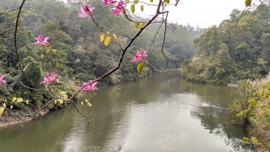 红花湖