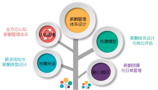 薪酬设计
