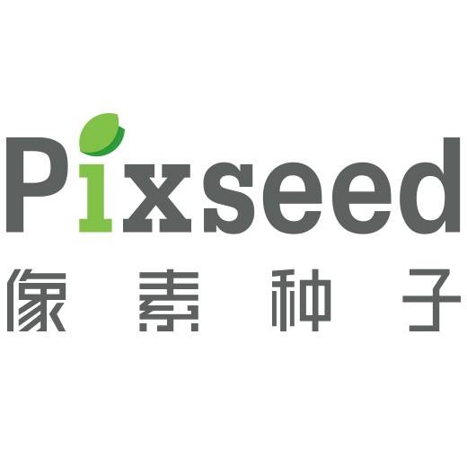 像素种子数字与艺术教育基地