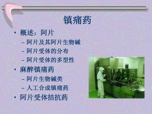 阿片受体